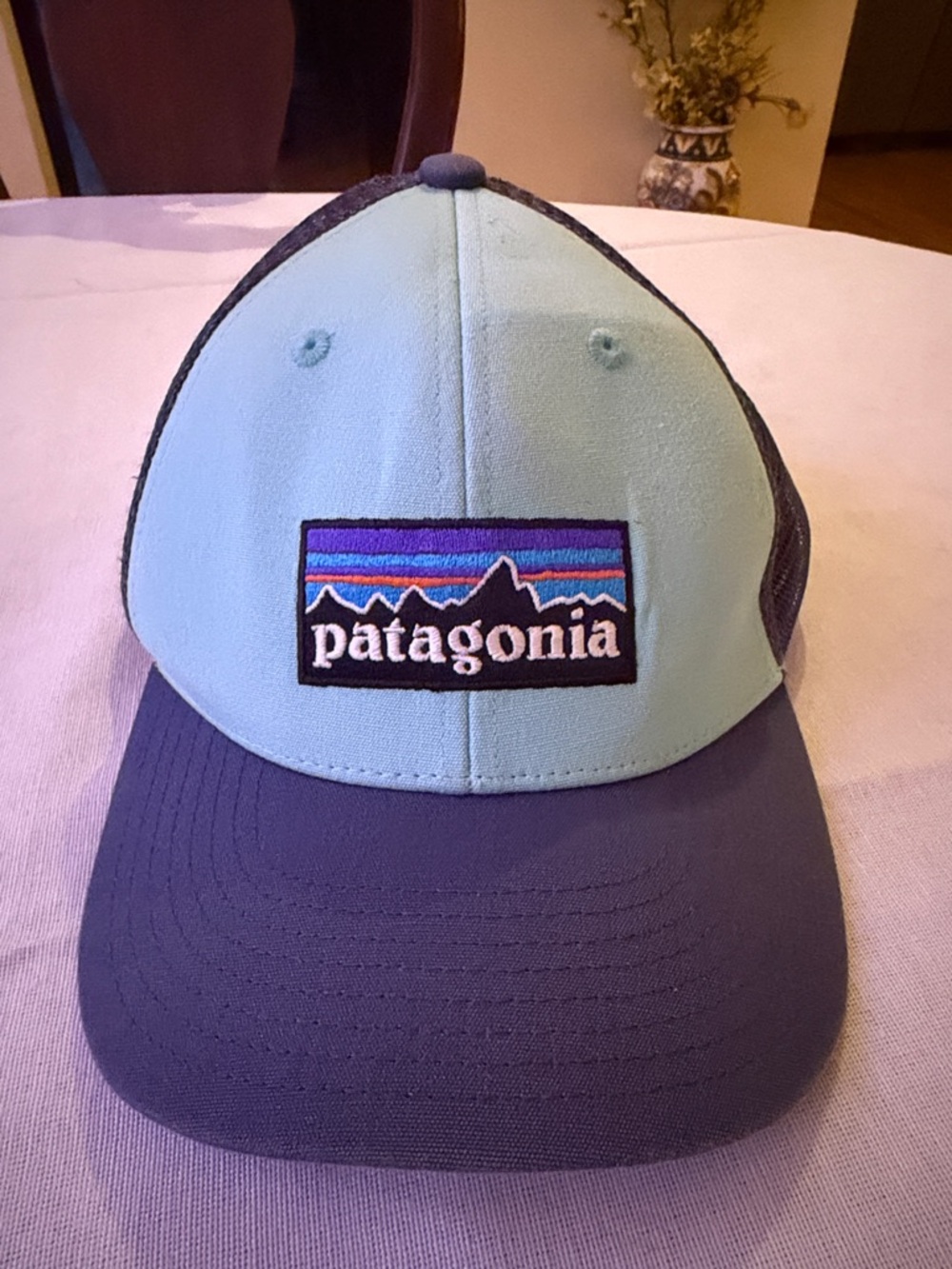 Patagonia Mint Front Navy Bill Trucker Hat